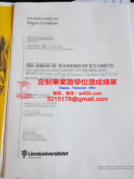 蒙彼利埃第三大學學歷證書(蒙彼利埃第三大學emba證書)